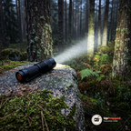 Svart ficklampa som lyser upp tallstammar från en mossig sten i skymningen